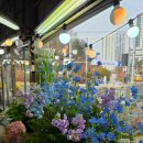 천호대로 213길 이미지