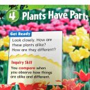 1-6 Plants have parts 이미지