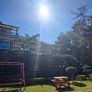 하늘보라 이미지