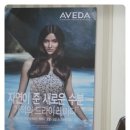 박상미헤어살롱 이미지