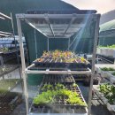 주강농장 이미지