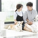 선진동물병원 이미지