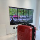 천아트(주간) | TCL 4K 65인치 TV 이동형 가성비 티비 후기