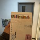 푼크툼(punctum)