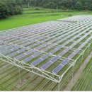 신기태양광발전소 이미지