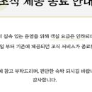 스테이변산바람꽃 이미지