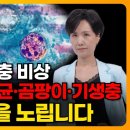 미국도 기생충 비상｜감염과 만성염증이 시작되는 첫 번째 방어선 ‘이곳' 이미지