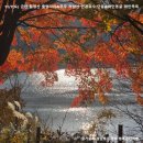 11/7(토) 월영산 출렁다리 &amp; 적상산 단풍트레킹 &amp; 와인동굴 와인족욕 힐링 여행 이미지