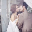 더써클스튜디오 이데일리