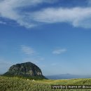 산방마을 농로 이미지