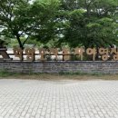 학암포자동차야영장 이미지