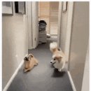 통신사 엘지 유플러스 쓰는 두팔들아 !! 요금제 뭐 쓰냐 이미지