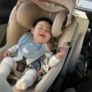 더보문풀빌라 | 국내여행 - 미온수무료💸 10만원대 가성비 짱 경주 '더보문풀빌라' 내돈내산 후기 🫧