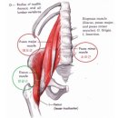 더블유필라테스 이미지