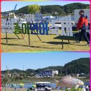 양양 송이 연어 축제를 가다. 이미지