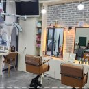 벨루스 헤어 이미지