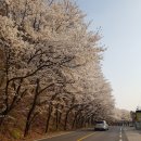 세븐일레븐청평삼회리점 네이버블로그