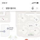 엘캘리플라워