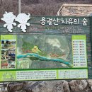 용궐산 화장실 이미지