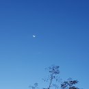 천하통상