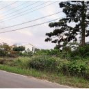 수채화별당 이미지