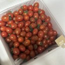 알리익스프레스 대추방울토마토 2키로 중 5,680원/ 소 4,382원 (코인할인) 이미지