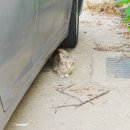 운조루 막둥이집 이미지