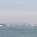 대교태양광발전소 이미지