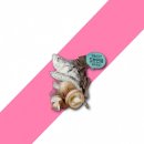 씨제이제일제당(주) 이미지