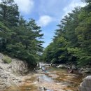 폭포민박 이미지