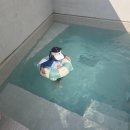 스테이화양연화 이미지