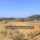 LBA부동산친구공인중개사사무소 이미지