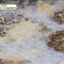 금봉텐동