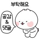 빛고을 건강약국 이미지