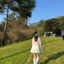 레이크짐 | 강원도 홍천 골프장 샤인데일CC 레이크 데일 코스 두번째 라운딩 후기