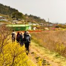 국내 공정여행 떠나기- 청산도 이미지