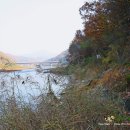 관인중학교 이미지