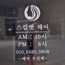 스칼렛헤어 이미지