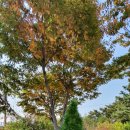 고래공원 이미지