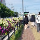 버스정류장_천주교사거리 이미지
