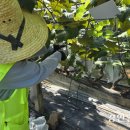 상안농장 이미지