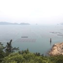 당사도수산물 이미지