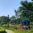 곡성-172 티스토리
