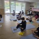 푸른경로당 | 몸과 마음을 깨우는 시간~! 내 몸을 알아가는 요가. 실버요가 장점,효과