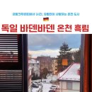 아름다울, 개 | 독일 온천 바덴바덴 블랙포레스트 여행 | 프랑크푸르트 근교여행지 | 바덴바덴 스파 숙소 후기