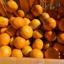 명기농장 이미지