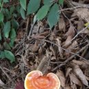 그리고마을 이미지