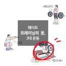 더블에잇 휘트니스 덕이점 네이버블로그