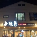 뒷뚱