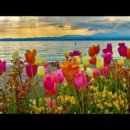 홍천강 이야기 이미지